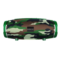 Портативная колонка Borofone BR3 камуфляж 001